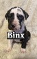 Binx